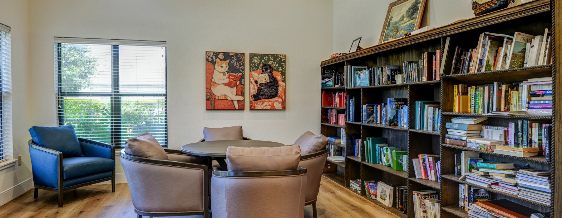 Library with bookshelf and cozy chairs
