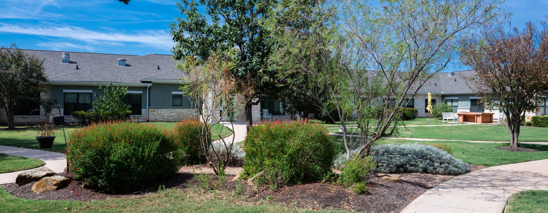 Sunny yard with walking path and bushes